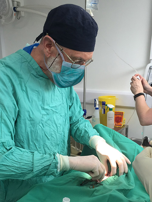 Operation